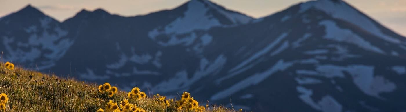 Snow-capped mountain peaks at golden hour